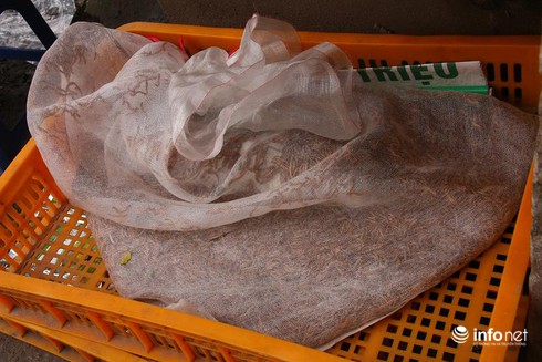 Rùng mình đi qua chợ bán côn trùng, 50 ngàn đồng một con rết - ảnh 8