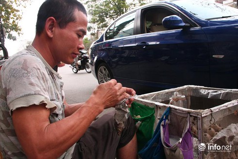 Rùng mình đi qua chợ bán côn trùng, 50 ngàn đồng một con rết - ảnh 3