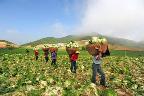Trung Quốc và cuộc “xâm chiếm” đất nông nghiệp toàn cầu - ảnh 1