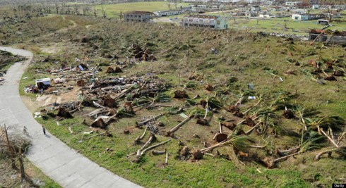 Philippines: Khoảng 2.500 người thiệt mạng vì bão Haiyan - ảnh 4