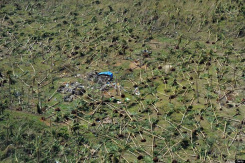 Philippines: Khoảng 2.500 người thiệt mạng vì bão Haiyan - ảnh 15
