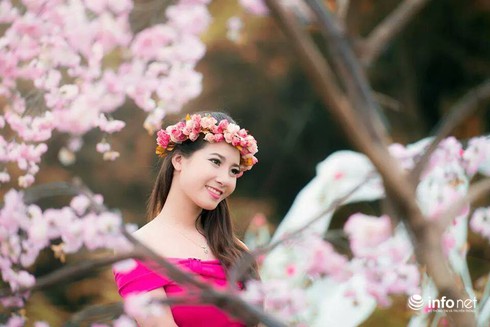 Nữ sinh Lê Khanh xinh đẹp kiêm “bà chủ” shop thời trang - ảnh 8