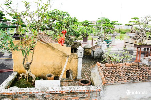 Kinh ngạc trước mô hình cảnh quê thu nhỏ tinh xảo, đẹp mê hồn - ảnh 14