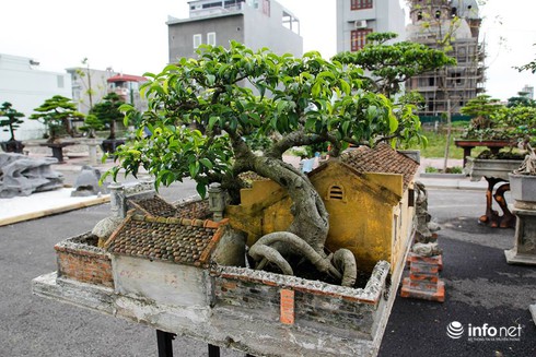 Kinh ngạc trước mô hình cảnh quê thu nhỏ tinh xảo, đẹp mê hồn - ảnh 20