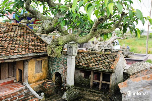 Kinh ngạc trước mô hình cảnh quê thu nhỏ tinh xảo, đẹp mê hồn - ảnh 4