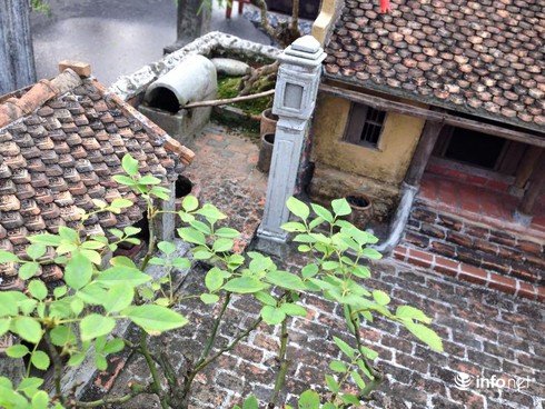 Kinh ngạc trước mô hình cảnh quê thu nhỏ tinh xảo, đẹp mê hồn - ảnh 9