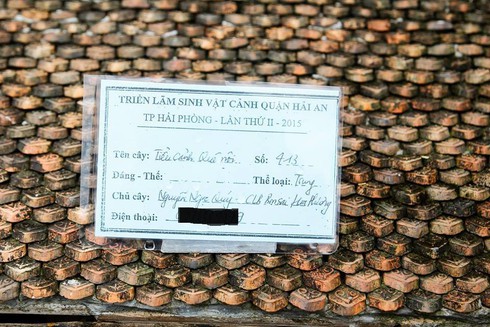 Kinh ngạc trước mô hình cảnh quê thu nhỏ tinh xảo, đẹp mê hồn - ảnh 21