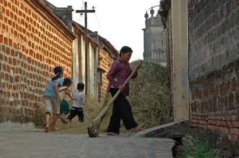 Đường Lâm: 'Phải lên Bộ để xin xây… nhà tắm' - ảnh 1