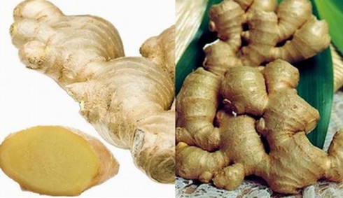 Phát hiện gừng Trung Quốc chứa chất cực độc tại VN - ảnh 1