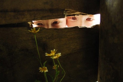 Bộ ảnh độc về cặp song sinh bạch tạng ở Hà Tĩnh - ảnh 14