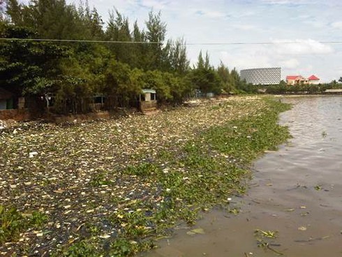 Kinh hoàng rác tấn công biển Rạch Giá - ảnh 2