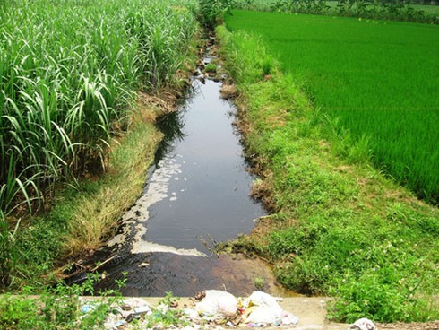 Nước thải nhà máy Cồn gây chết người, ô nhiễm môi trường - ảnh 3