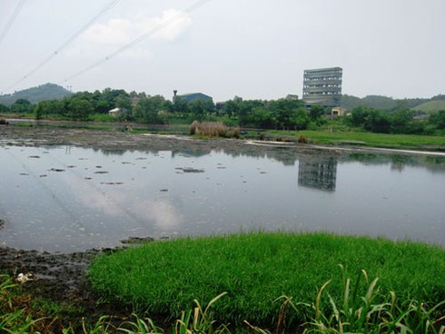 Nước thải nhà máy Cồn gây chết người, ô nhiễm môi trường - ảnh 1