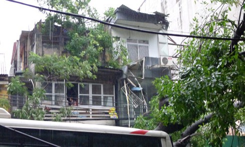 Hà Nội: Cây đổ, xe buýt gặp nạn - ảnh 2