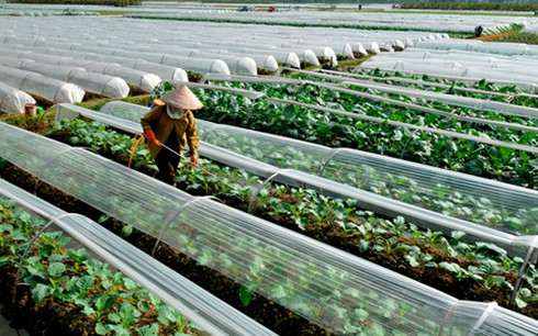 Ngắm Hà Nội trong các tác phẩm nhiếp ảnh đoạt giải - ảnh 9