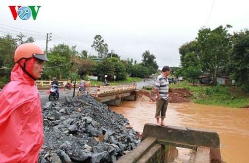 Miền Trung và những hình ảnh tan hoang sau bão số 8 - ảnh 3