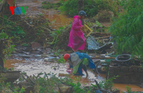 Miền Trung và những hình ảnh tan hoang sau bão số 8 - ảnh 11