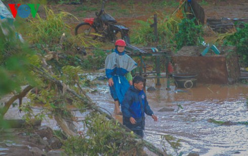 Miền Trung và những hình ảnh tan hoang sau bão số 8 - ảnh 12