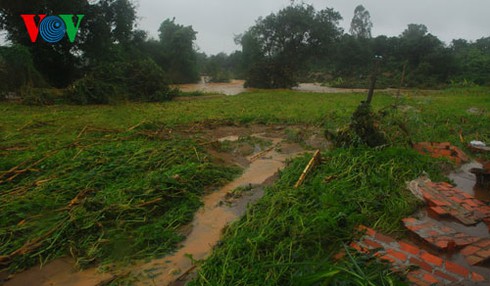 Miền Trung và những hình ảnh tan hoang sau bão số 8 - ảnh 13