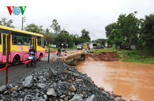 Miền Trung và những hình ảnh tan hoang sau bão số 8 - ảnh 5