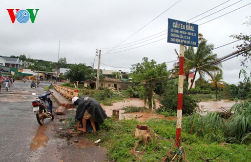 Miền Trung và những hình ảnh tan hoang sau bão số 8 - ảnh 6