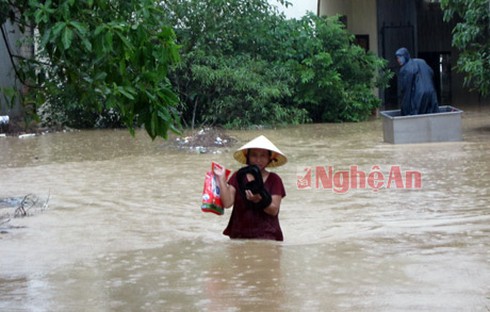 Nghệ An: Thiếu xuồng cứu dân bị ngập - ảnh 4
