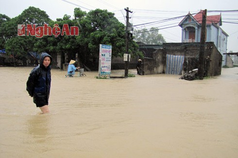 Nghệ An: Thiếu xuồng cứu dân bị ngập - ảnh 5