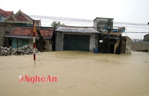 Nghệ An: Thiếu xuồng cứu dân bị ngập - ảnh 1