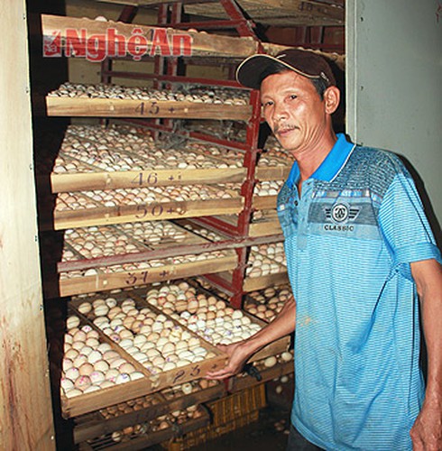 Sau lũ dữ, chắt từng giọt nước sạch - ảnh 2