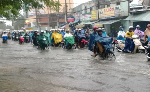 TP.HCM: Người dân vượt mưa như trút đi làm - ảnh 1