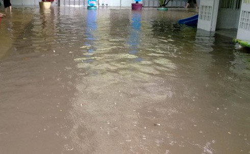 TP.HCM: Người dân vượt mưa như trút đi làm - ảnh 11
