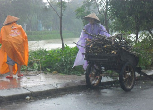 Huế: Bão không vào, người dân tranh thủ gom củi, cất vó - ảnh 1