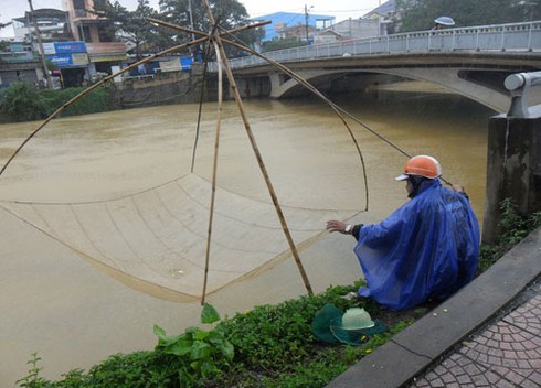Huế: Bão không vào, người dân tranh thủ gom củi, cất vó - ảnh 2