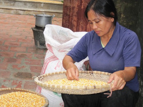 Về làng có 142 góa phụ: Tang thương đất biển - ảnh 4