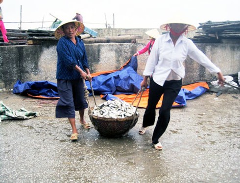 Về làng có 142 góa phụ: Tang thương đất biển - ảnh 2