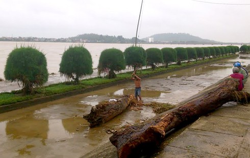 Quảng Ngãi: Vừa lũ, vừa lốc xoáy, người dân hoang mang - ảnh 3