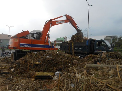 Đà Nẵng: Hàng trăm bộ đội ra quân dọn sạch bãi biển - ảnh 3