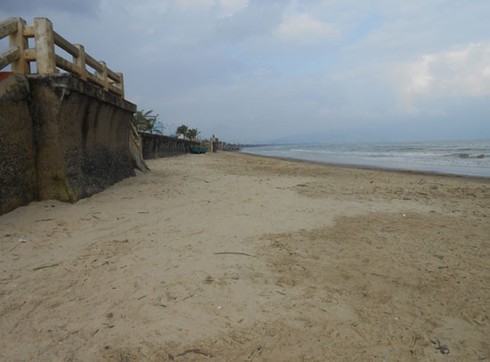 Đà Nẵng: Hàng trăm bộ đội ra quân dọn sạch bãi biển - ảnh 12