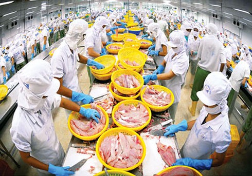 Tăng cường bảo đảm an toàn thực phẩm nông thủy sản - ảnh 1