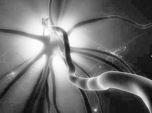 Não điều chỉnh cực khoái như thế nào? - ảnh 2