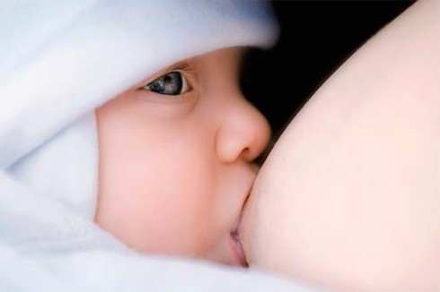 Chăm sóc gò bồng đảo khi mang thai và cho con bú - ảnh 1