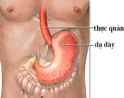 Cấp cứu khi uống nhầm axít - ảnh 1