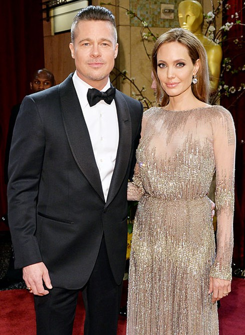 Angelina Jolie đông lạnh trứng để có thêm con - ảnh 2