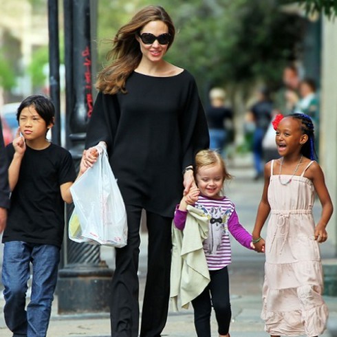 Angelina Jolie đông lạnh trứng để có thêm con - ảnh 1