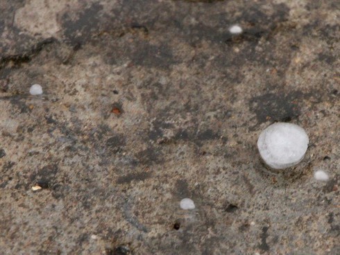 Lào Cai: Mưa đá kèm theo lốc tố mạnh kéo dài 30 phút - ảnh 1