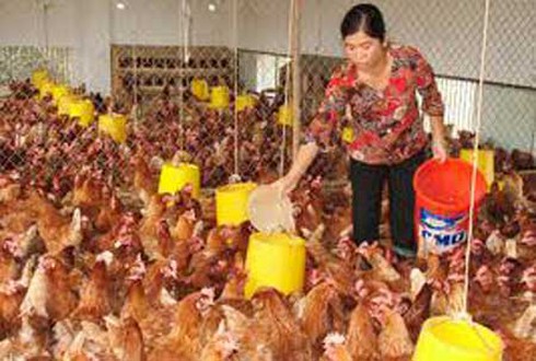 11 triệu lượt phụ nữ được vay 4752 tỷ đồng - ảnh 1