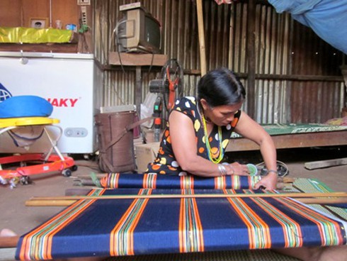 Phụ nữ tiếp tục được hỗ trợ phát triển kinh tế - ảnh 1