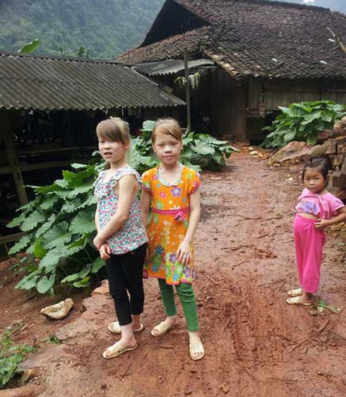 Cha mẹ Việt, hai con gái “giống Tây” như đúc - ảnh 2