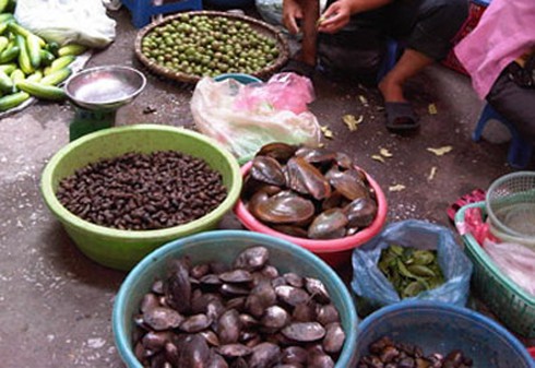 Ăn trai hến như thế nào dễ bị trúng độc? - ảnh 1