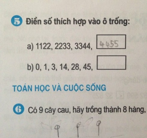 Bài toán lớp 3 gây tranh cãi: Thủ khoa cũng đau đầu - ảnh 1